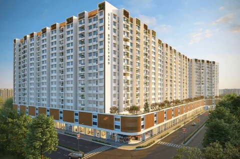 Olive Boulevard, New Panvel
