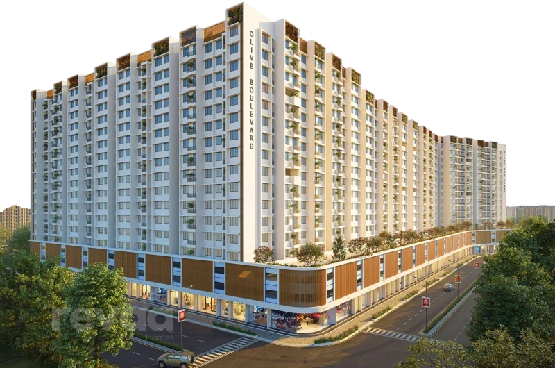 Olive Boulevard: photo (developer's image)