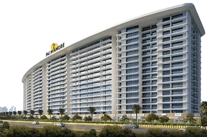 Palm Amore: photo (developer's image)