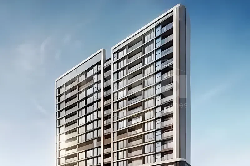 Shelton Elite: photo (developer's image)