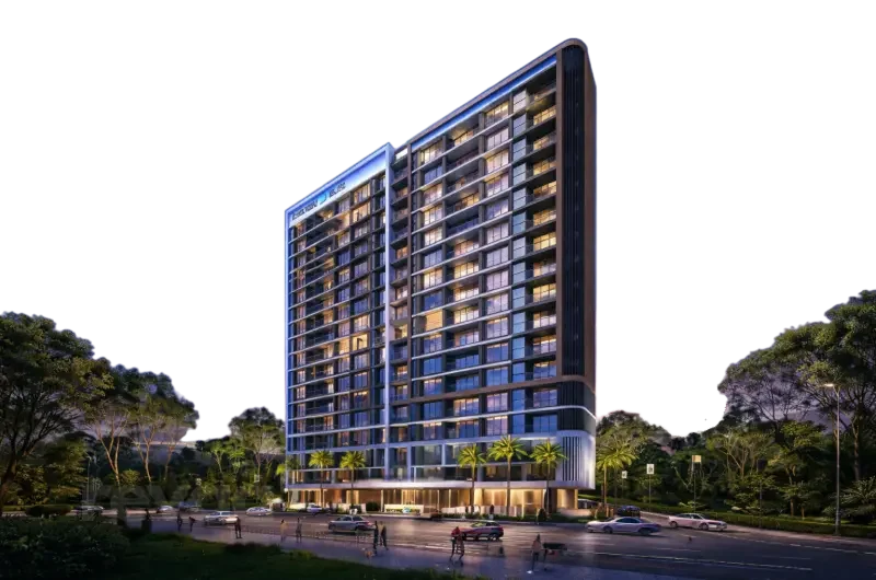 Shelton Elite: photo (developer's image)
