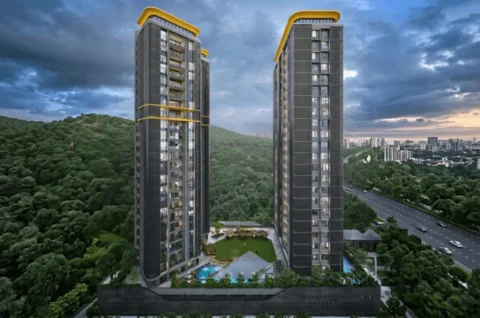 Today Nova Vista, Nerul